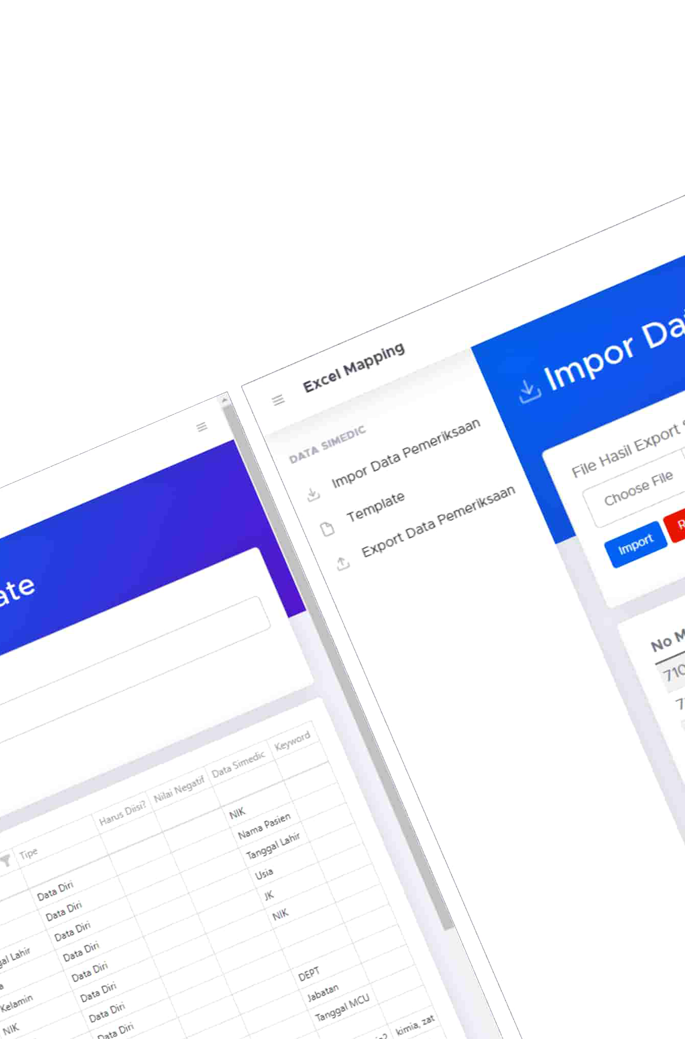 Primera Excel Mapping